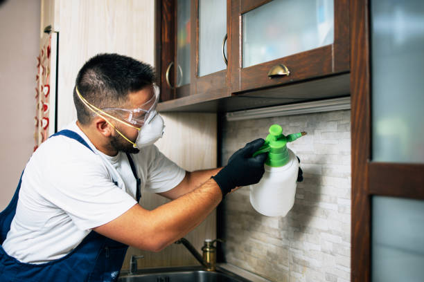 Best Pest Prevention Services  in St Johns, AZ
